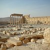 Things To Do in Site of Palmyra, Restaurants in Site of Palmyra