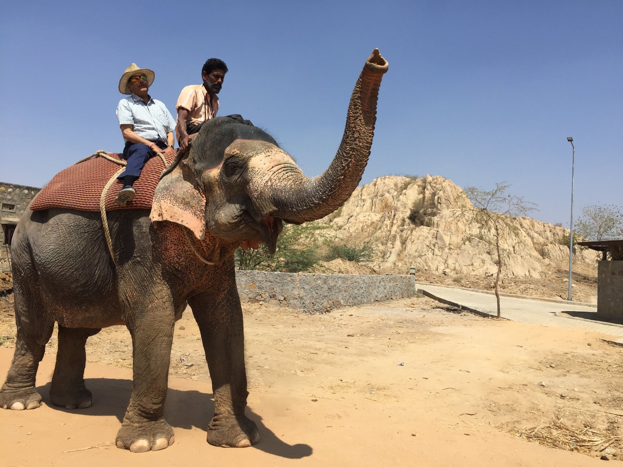 2024年 Hathi Gaon Elephant Village - 行く前に！見どころを