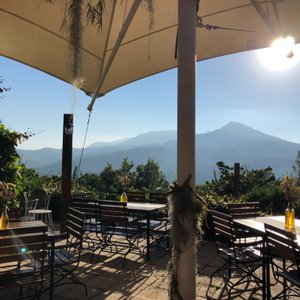 Heaven, sitting here in the morning