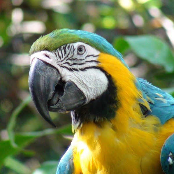Costa Rica 2023: Best Places to Visit - Tripadvisor