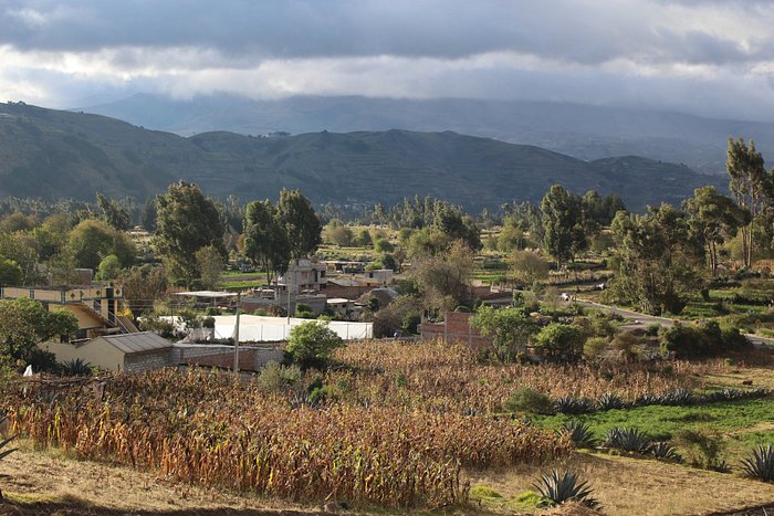 escuela comunitaria mountain vista