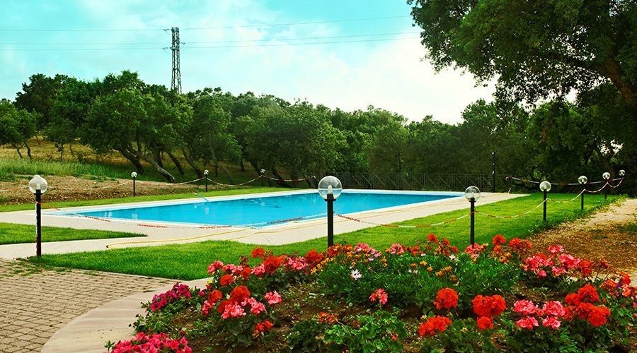 getlstd_property_photo