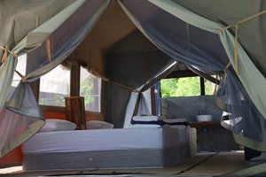 Room & Suite