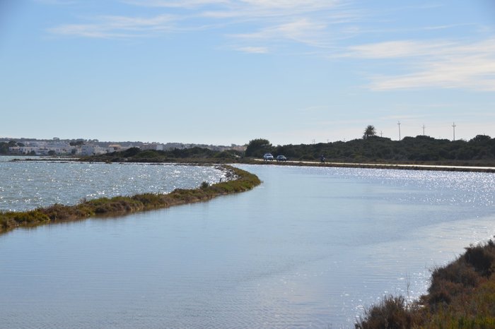 Imagen 7 de Parque Natural de Ses Salines