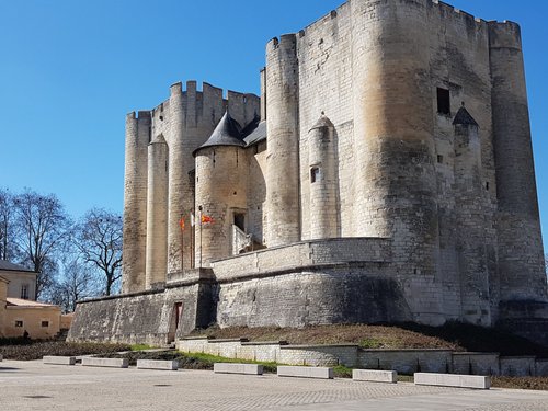 THE 5 BEST Niort Tours & Excursions for 2024 (with Prices)