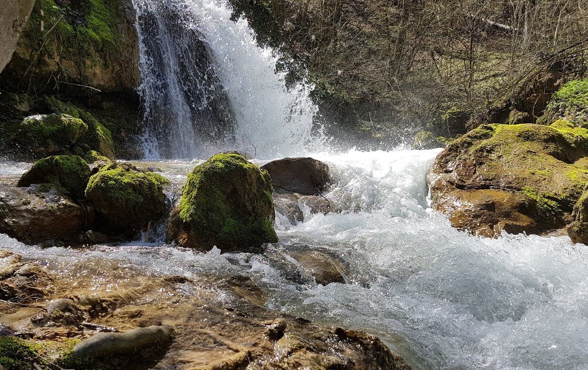 Natural Monument Ripaljka (2024) All You Need To Know Before You Go 