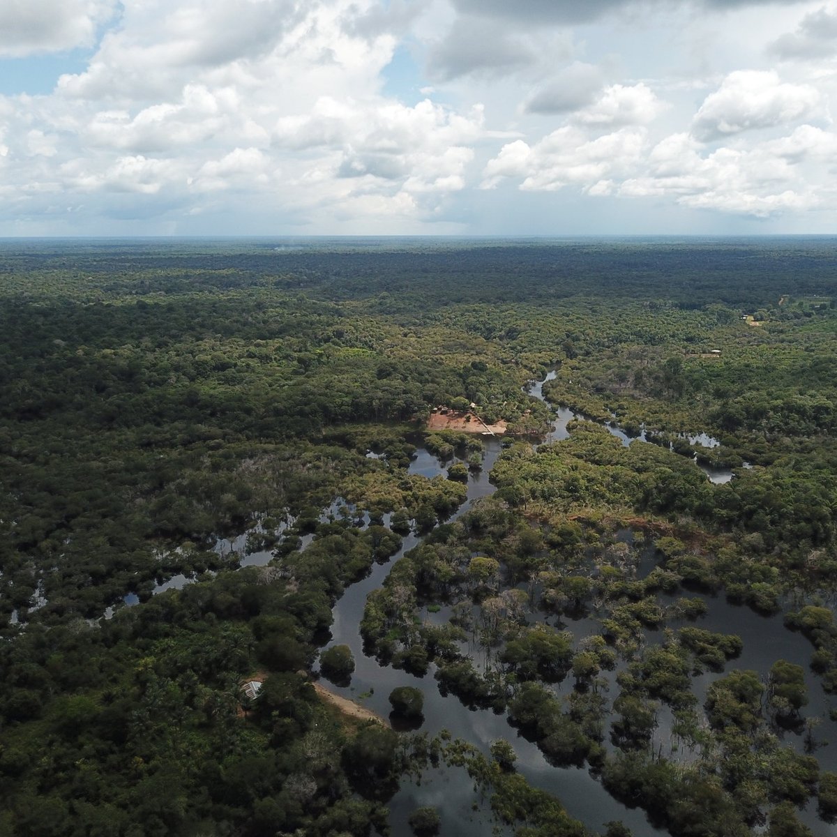 Amazon Green Tours, Манаус: лучшие советы перед посещением - Tripadvisor