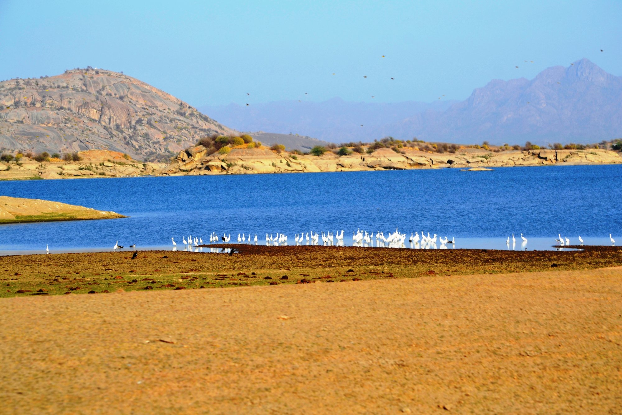 Jawai Dam (Pali) - All You Need to Know BEFORE You Go (with Photos) -  Tripadvisor