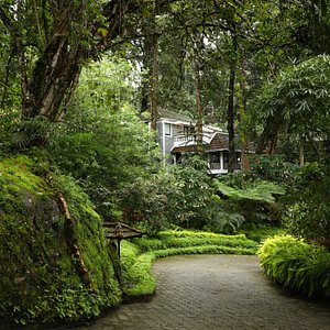 family trip from india Resort Grounds
