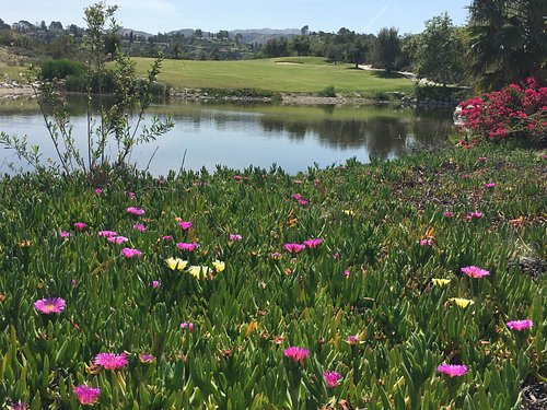 6 Campos de golfe famosos na Califórnia