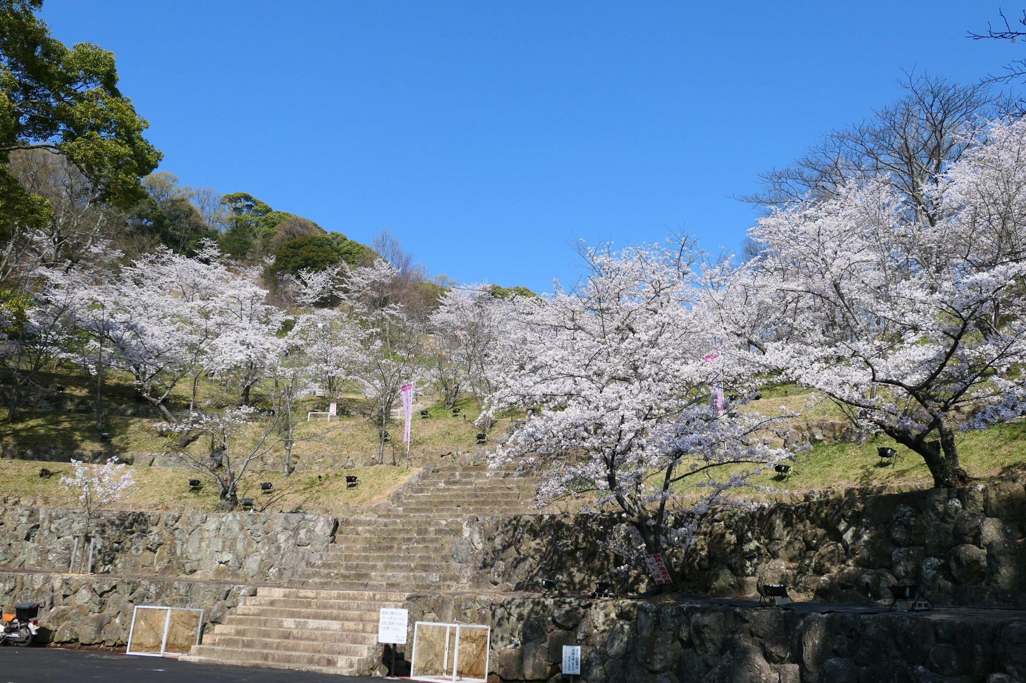 2025年 桃陵公園 - 出発前に知っておくべきことすべて