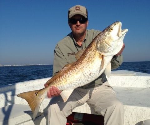 Nelson Inshore Charter Fishing (Gulf Shores) - All You Need to Know ...