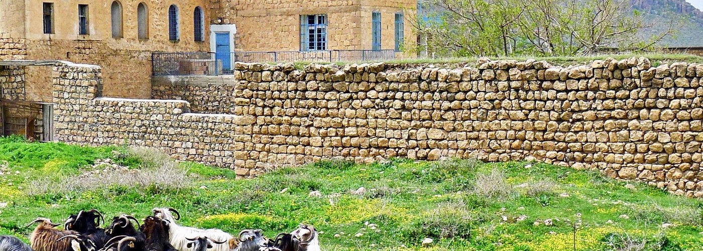 Savur,Dereiçi köyü