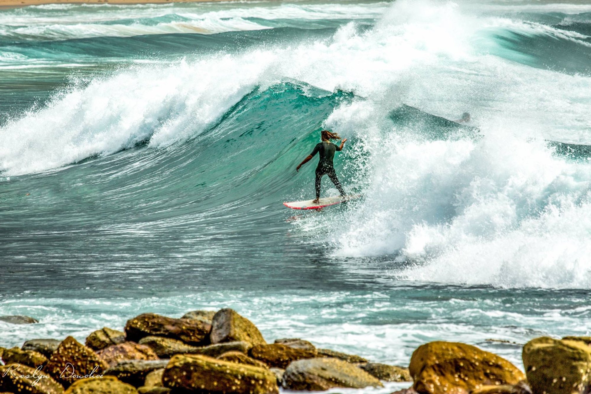 central coast surf