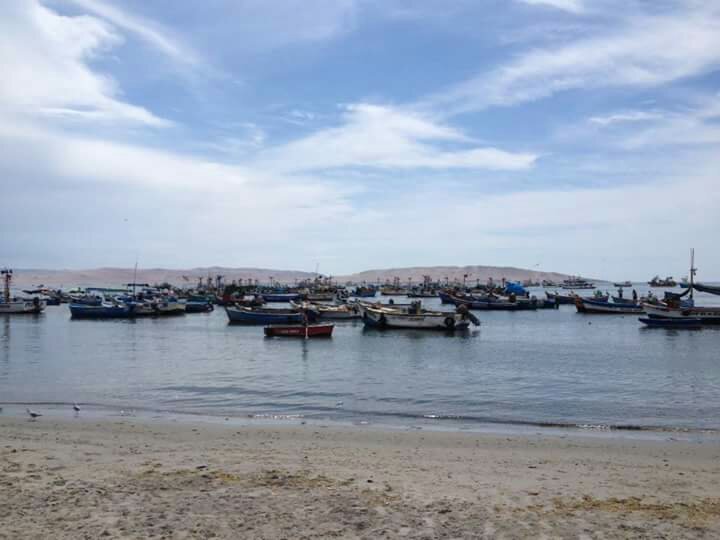 Malecon El Chaco Paracas Lo que se debe saber antes de viajar