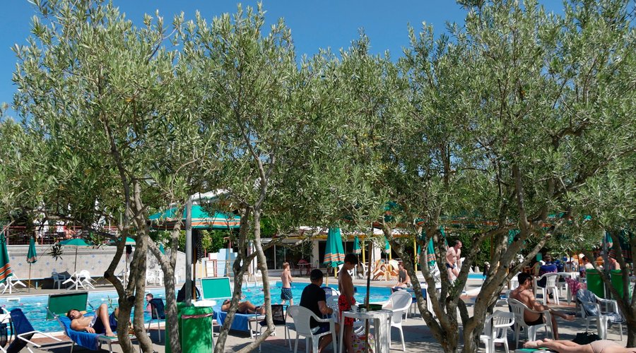 ombrelloni, tavoli e sedie bordo piscina gratuiti