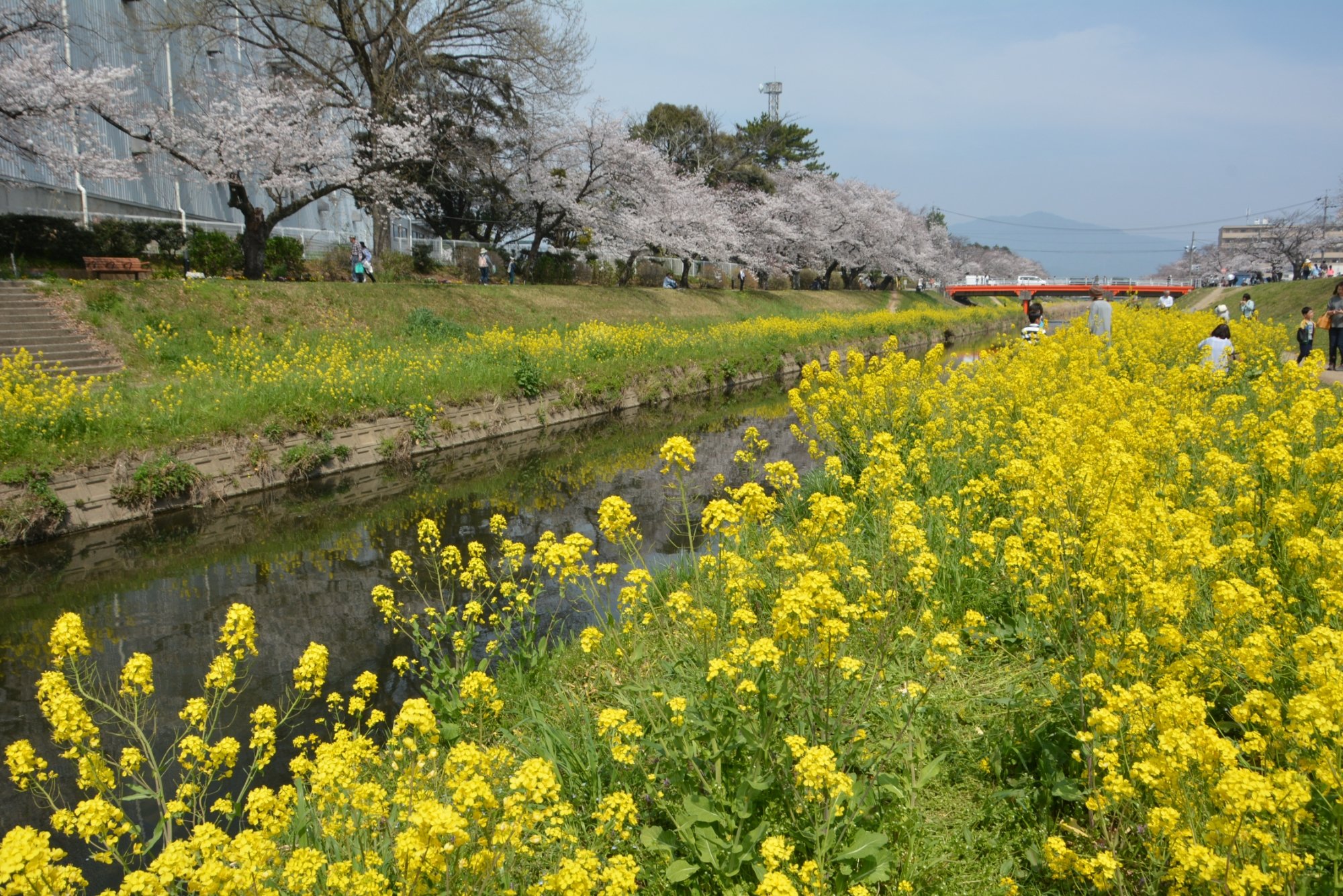 豊川 旅行・観光ガイド 2021年 - トリップアドバイザー