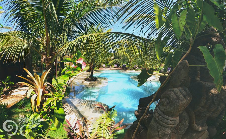 Linda piscina do Paua Hotel Boutique