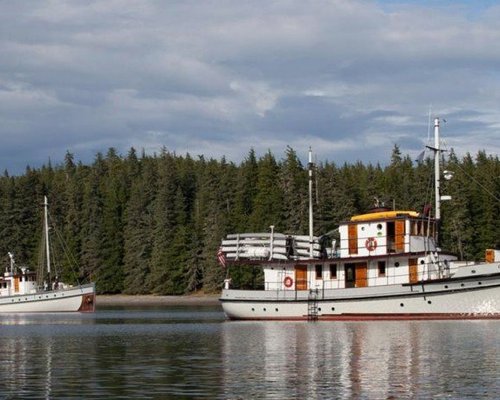 THE 10 BEST Friday Harbor Tours & Excursions for 2024 (with Prices)