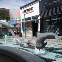 In Conjunction with Birch Aquarium