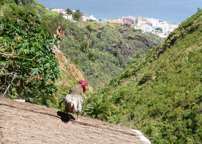 Maroparque isla de La Palma