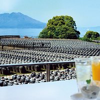 店内から見える桜島と壺畑