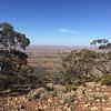 Things To Do in Bendleby Ranges, Restaurants in Bendleby Ranges