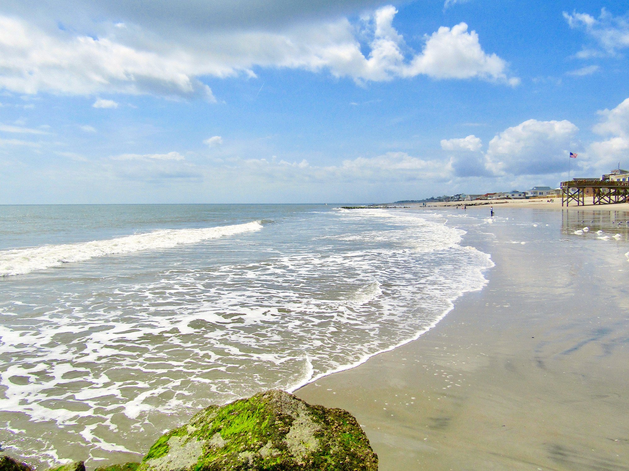 Exploring Low Tide at Edisto Beach: A Traveler's Guide