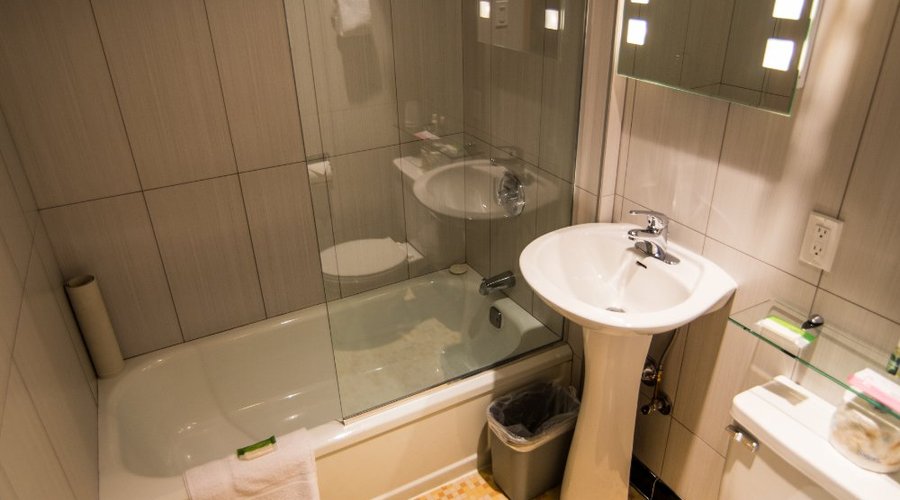 Deluxe Queen w/ Double Pullout Sofa Bathroom