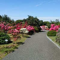 久留米つばき園