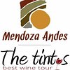Mendoza_Andes_Tours