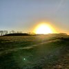 artie_5499