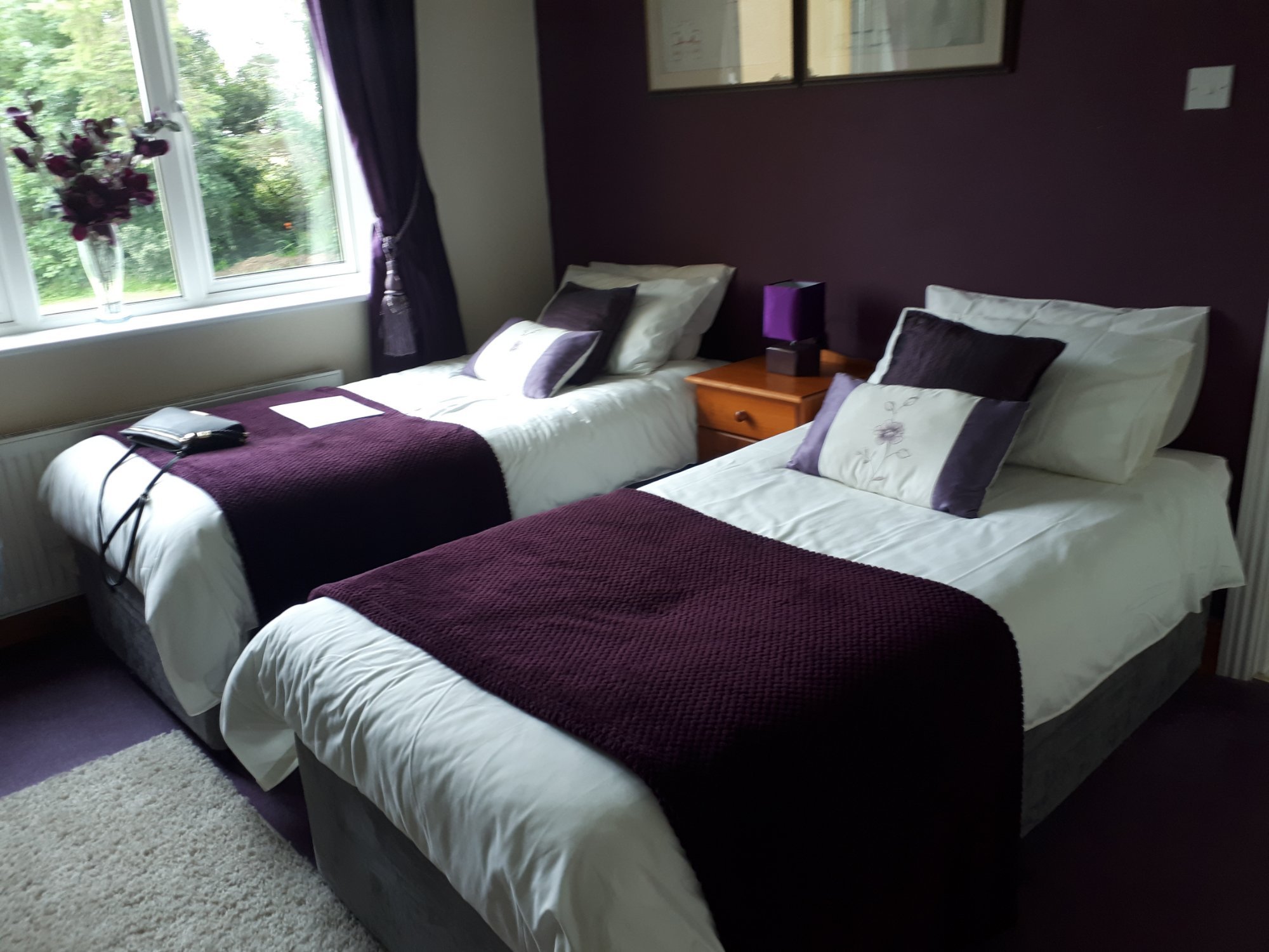 ELEMENTS GUEST HOUSE - Updated 2022 Prices & B&B Reviews (Lisdoonvarna ...