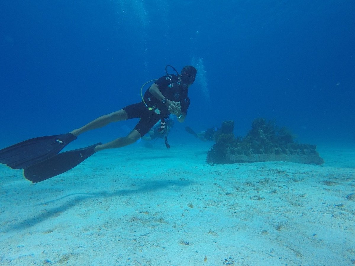 Scuba Du (Cozumel) - All You Need to Know BEFORE You Go