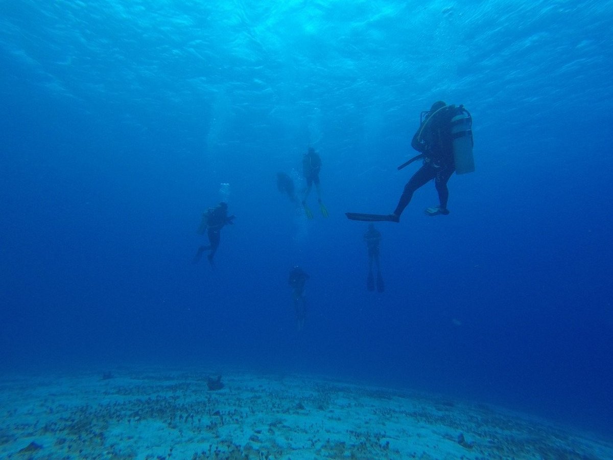 Scuba Du (Cozumel) - All You Need to Know BEFORE You Go