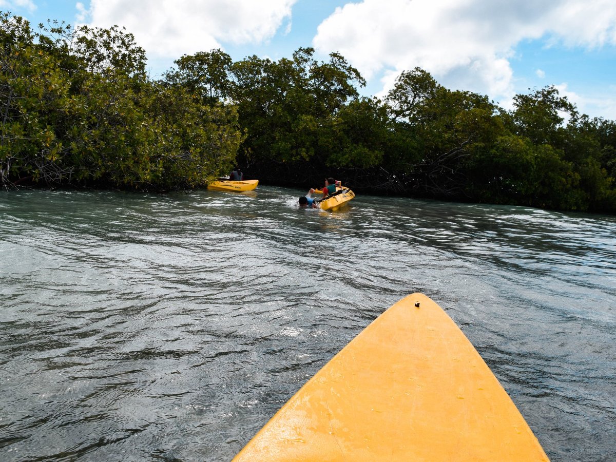 ARUBA KAYAK ADVENTURE (Pos Chiquito) - All You Need to Know BEFORE You Go