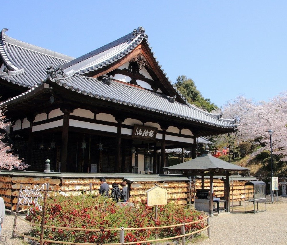 樱井市旅游 樱井市旅游指南