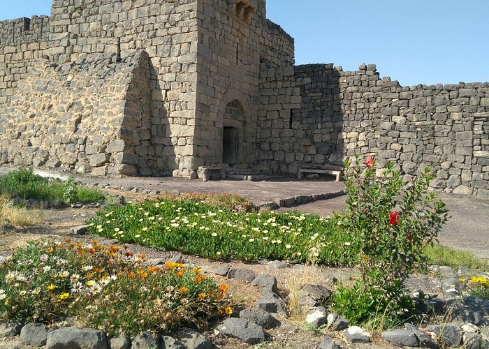 tiempo Perfecto Orgullo Turismo en Azraq, Jordania 2022: opiniones, consejos e información -  Tripadvisor