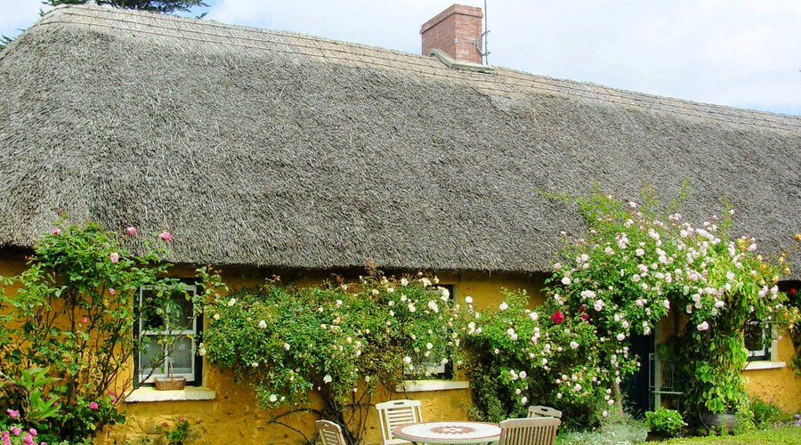 Thatched Cottage