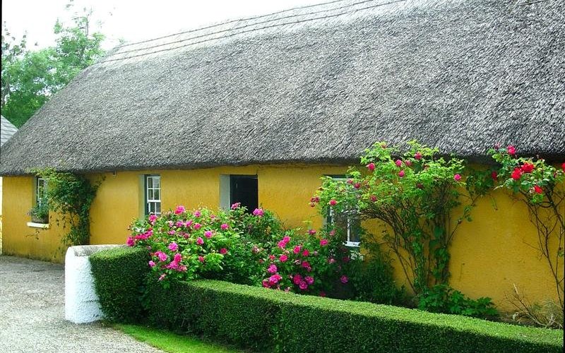 Thatched Cottage