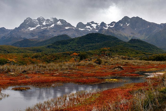accumuleren op gang brengen lied Tierra del Fuego 2022: Best of Tierra del Fuego Tourism - Tripadvisor
