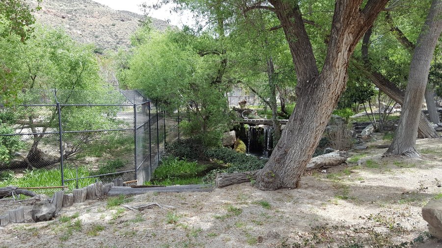 Shambala Preserve (2025) - All You Need to Know BEFORE You Go (with Reviews)