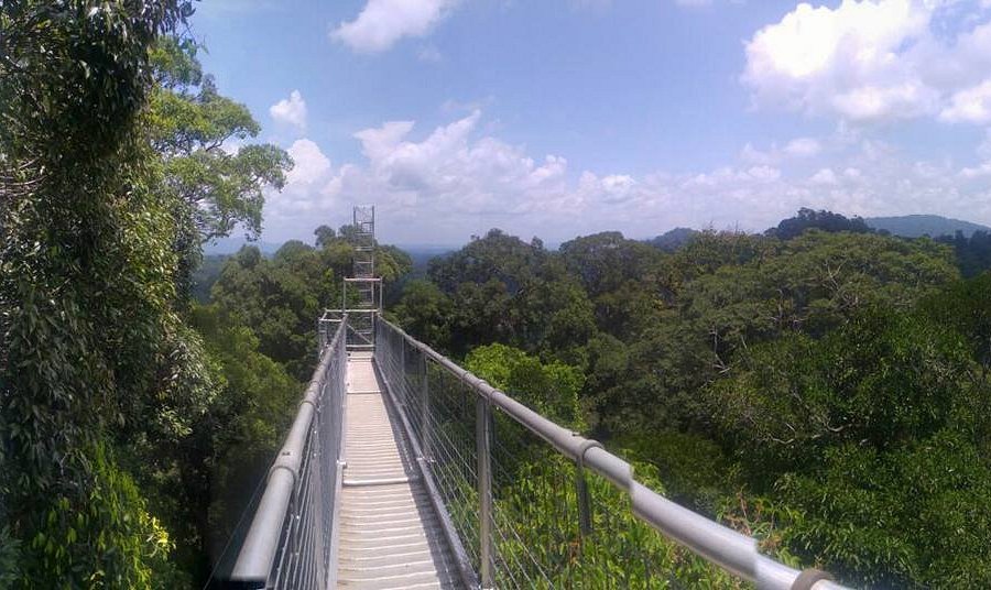 Ulu Temburong National Park image