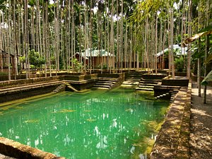 Yamunatheeram in Kanayi, image may contain: Resort, Hotel, Rainforest, Vegetation