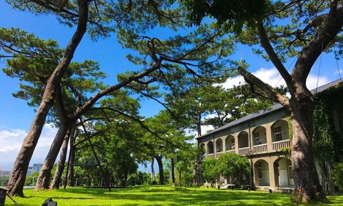 這個角度是很棒的留影方向，可以拍到二層主建築及層層松林