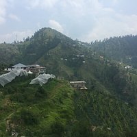 Apple orchards at Fagu Hills