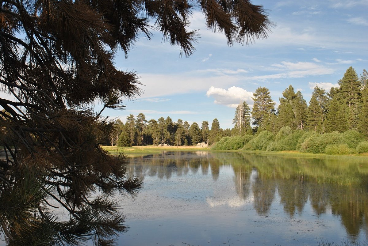 About 1 — Bluff Lake Nature Center