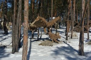 Фото от гостей