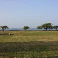 海が見える公園