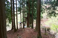 21年 笹子峠の矢立の杉 行く前に 見どころをチェック トリップアドバイザー